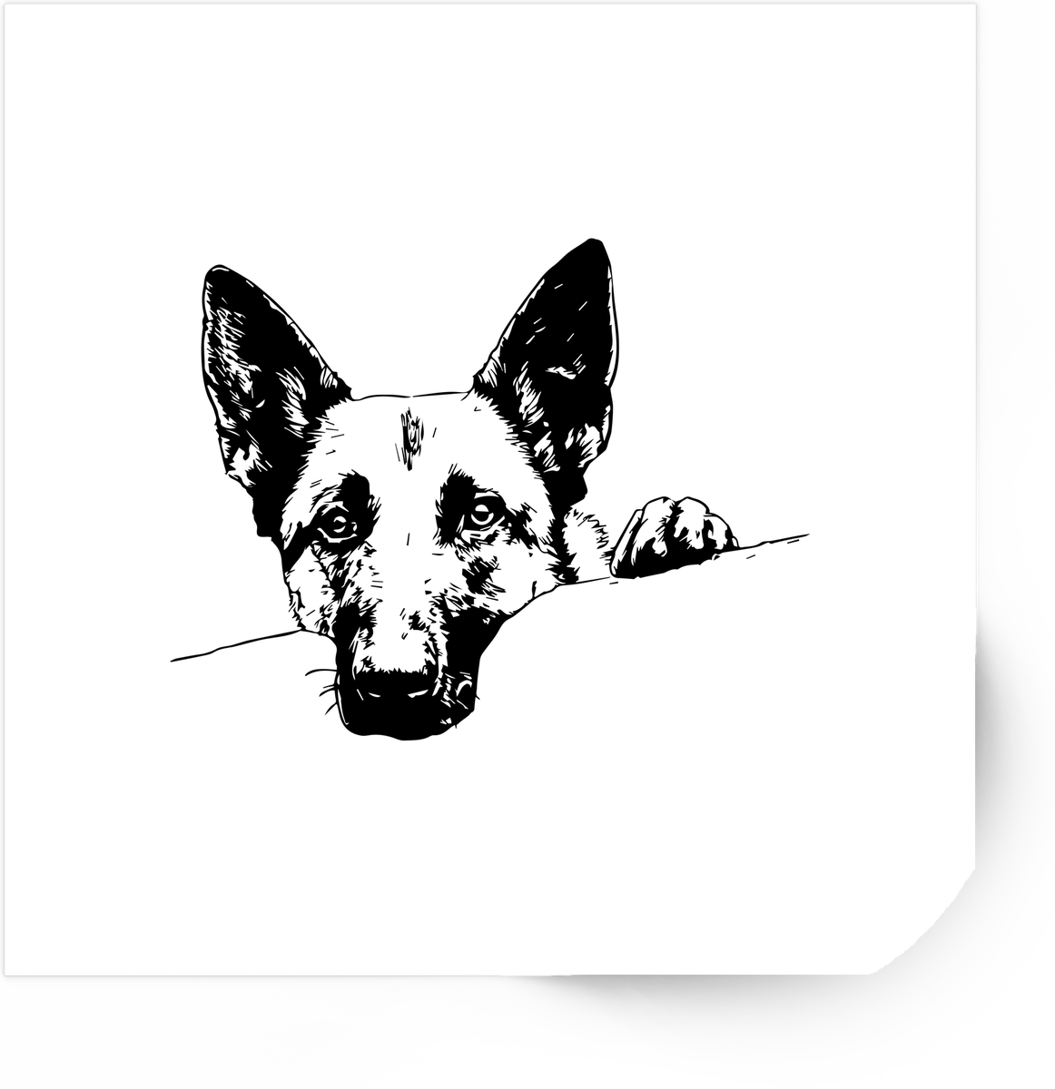 Peeking Dog Sticker | Black & White Cattle Dog Line Art Vinyl Decal | Dog Lover Gift