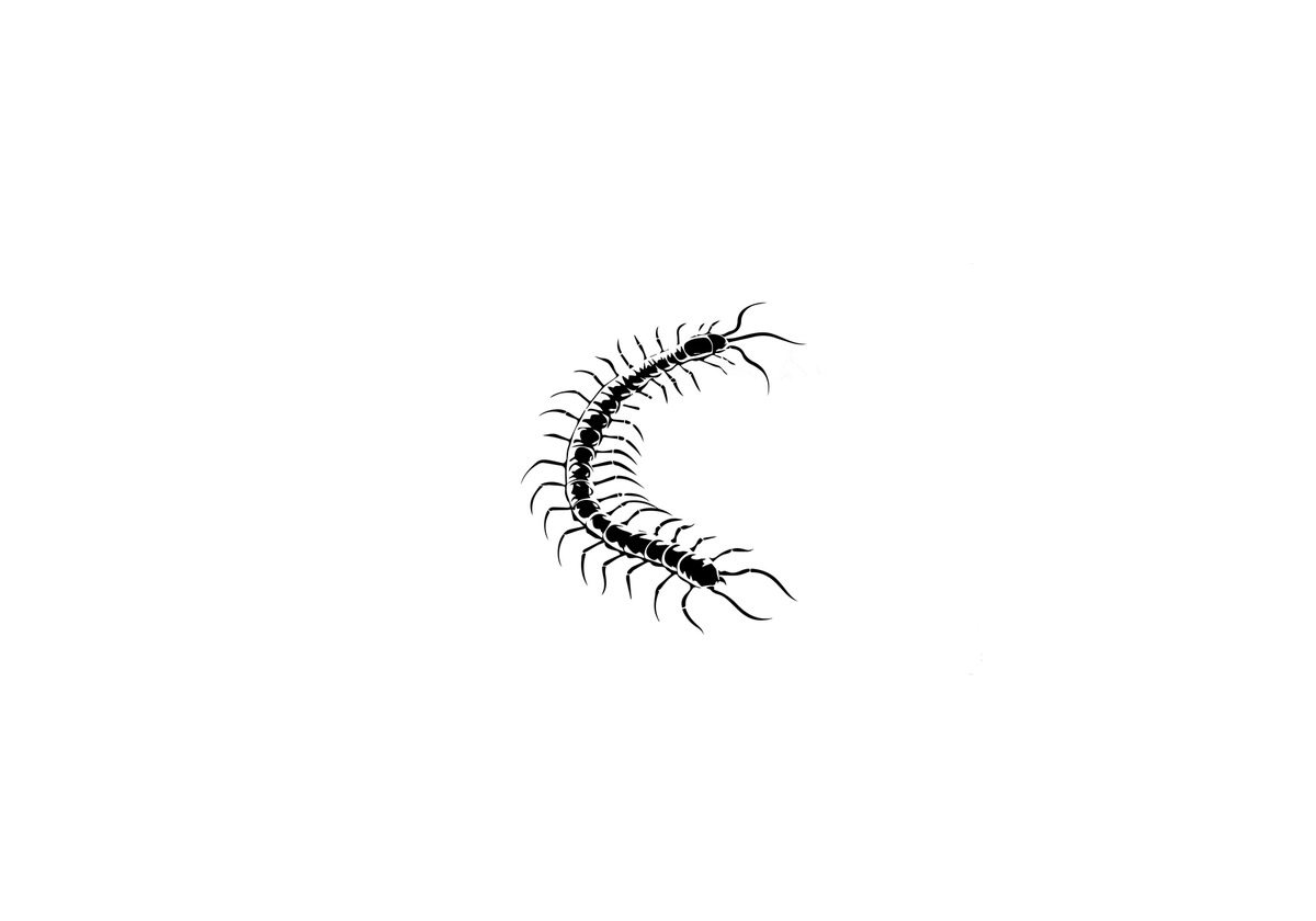 Black Centipede Throw Pillow | Bold Insect Silhouette Decorative Pillow | Bug Lover Gift