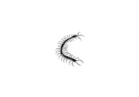 Thumbnail for Black Centipede Throw Pillow | Bold Insect Silhouette Decorative Pillow | Bug Lover Gift